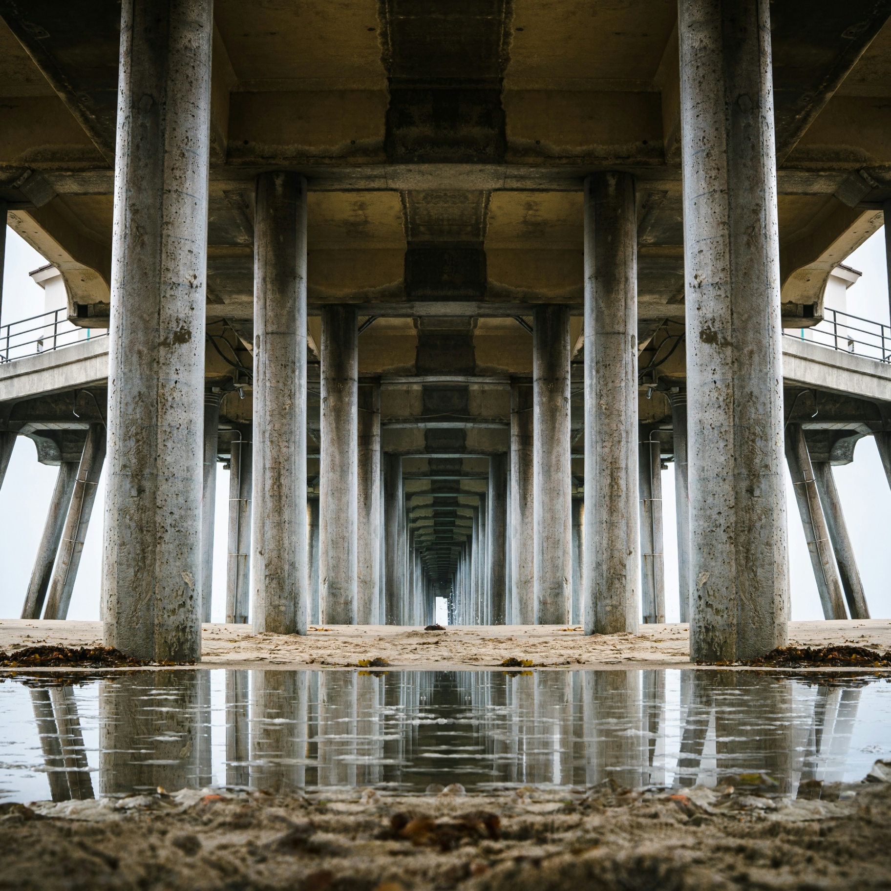 Under the Huntington Beach pier at low tide